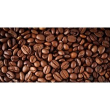 Arabica