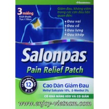 Salonpas Pain Relief Patch