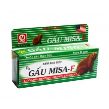 Gau Misa